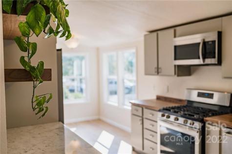 230 Magnolia Way Asheville NC 28806