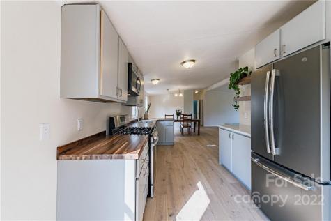 230 Magnolia Way Asheville NC 28806