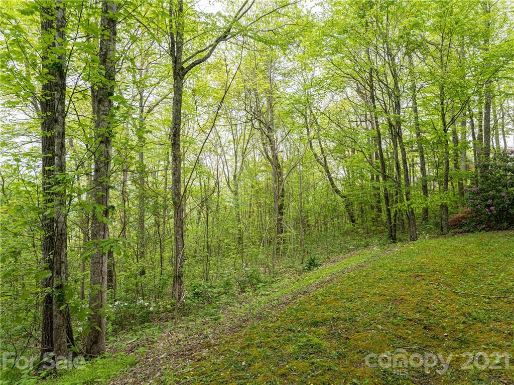 8 Big Level Drive Asheville NC 28804