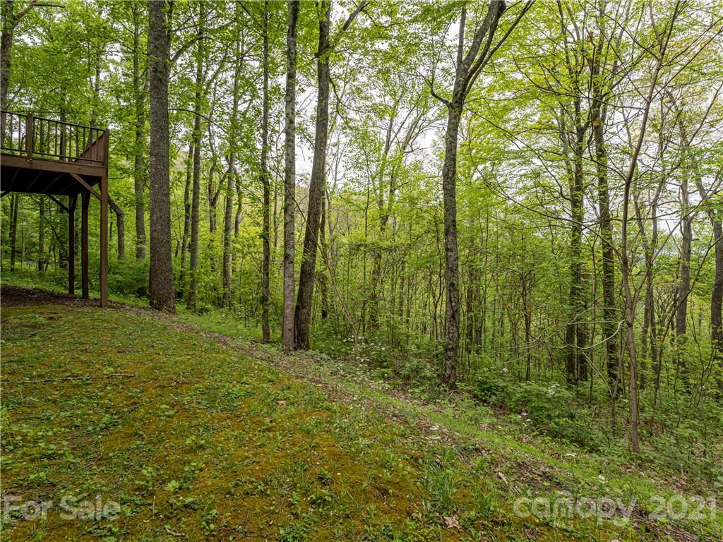 8 Big Level Drive Asheville NC 28804