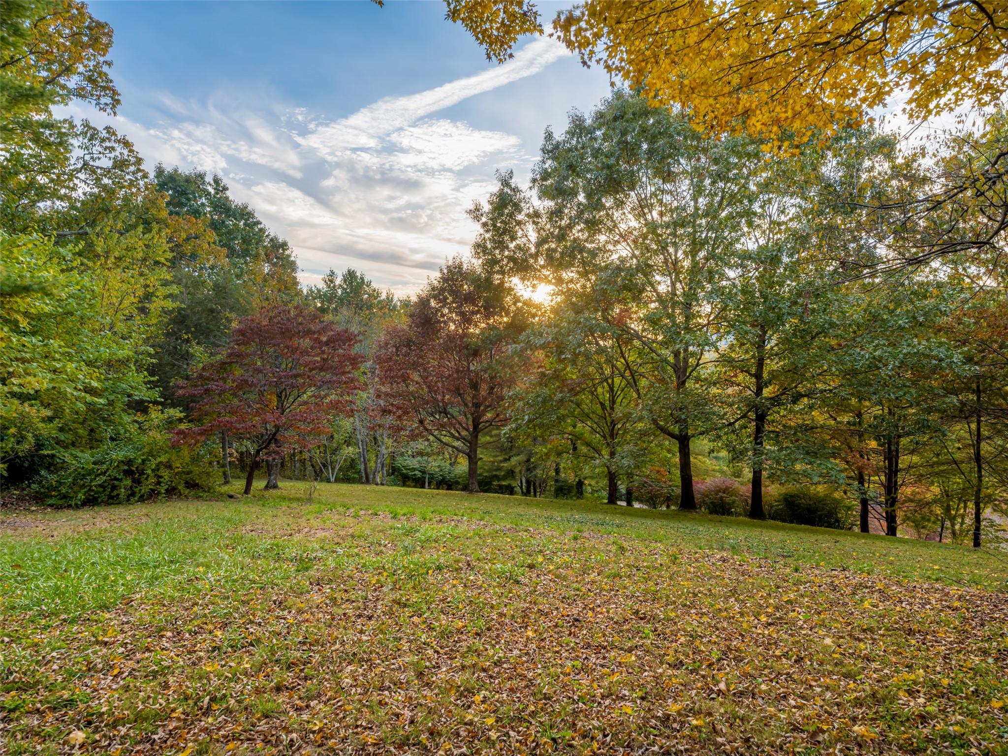 13 Kent Place Asheville NC 28804