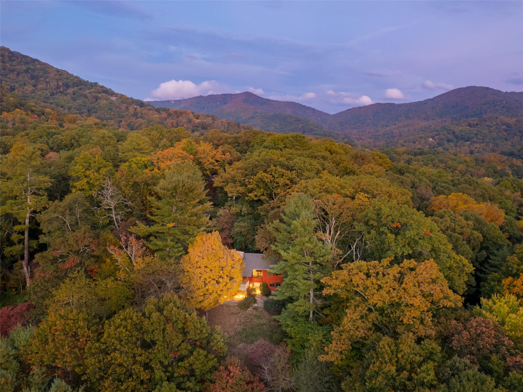 13 Kent Place Asheville NC 28804