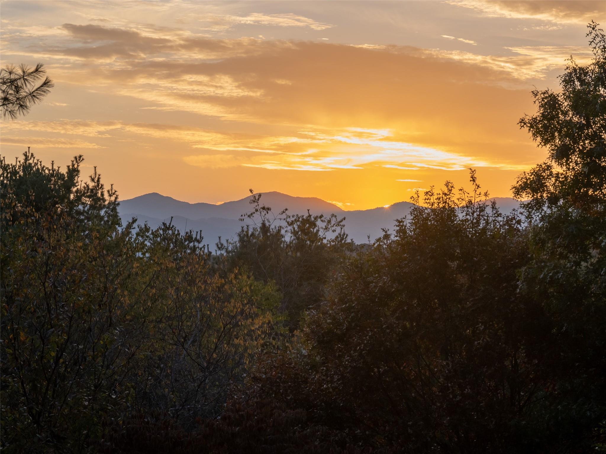 13 Kent Place Asheville NC 28804