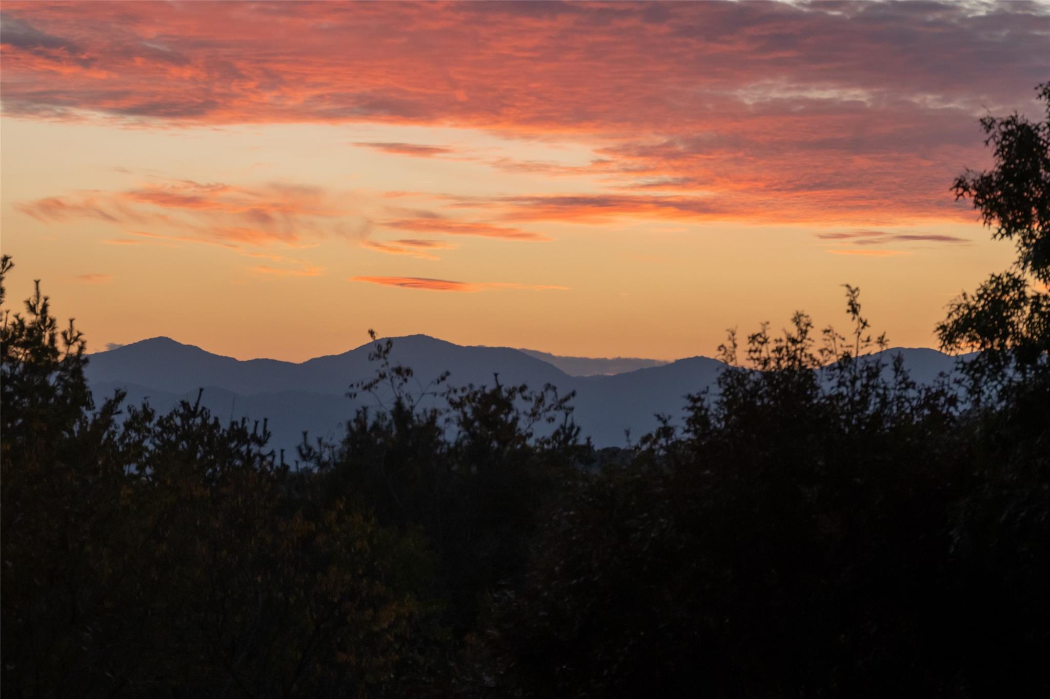 13 Kent Place Asheville NC 28804