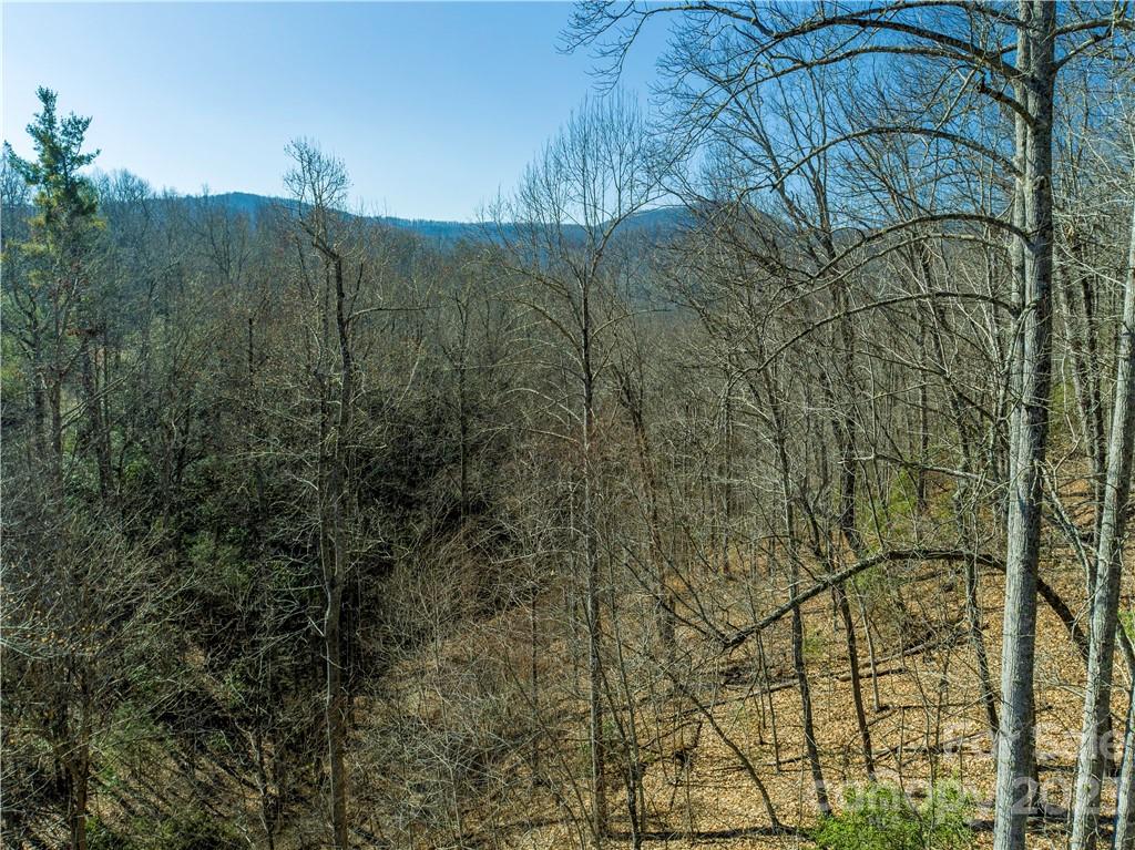 82 Autumn Lane Black Mountain NC 28711