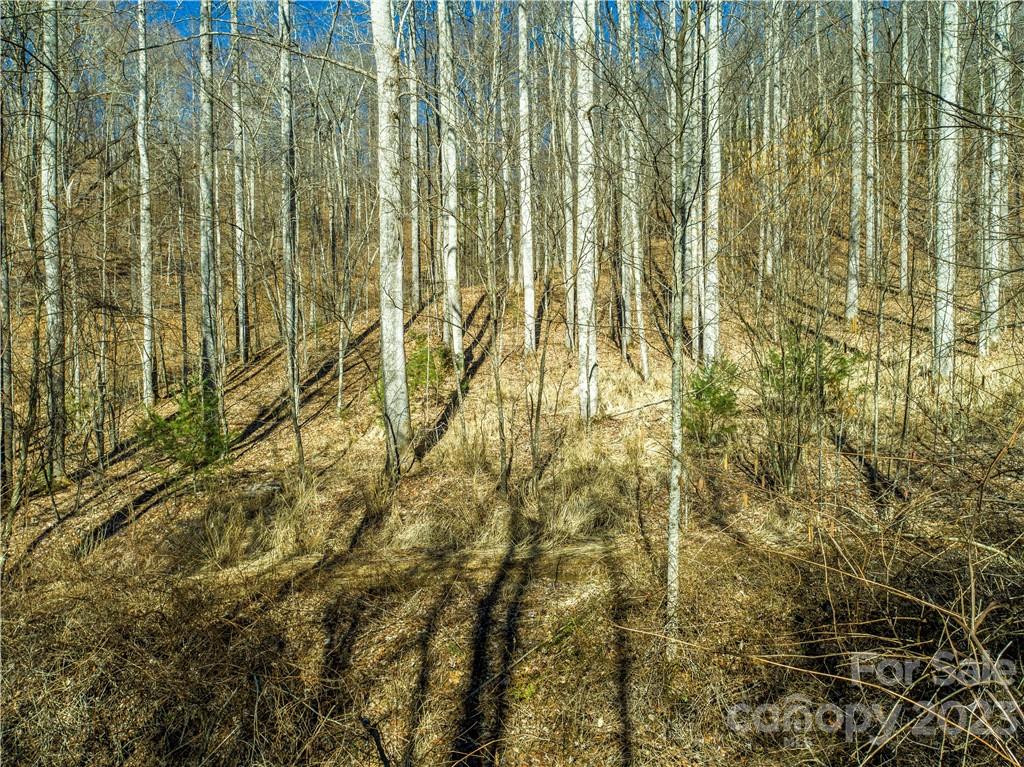 82 Autumn Lane Black Mountain NC 28711