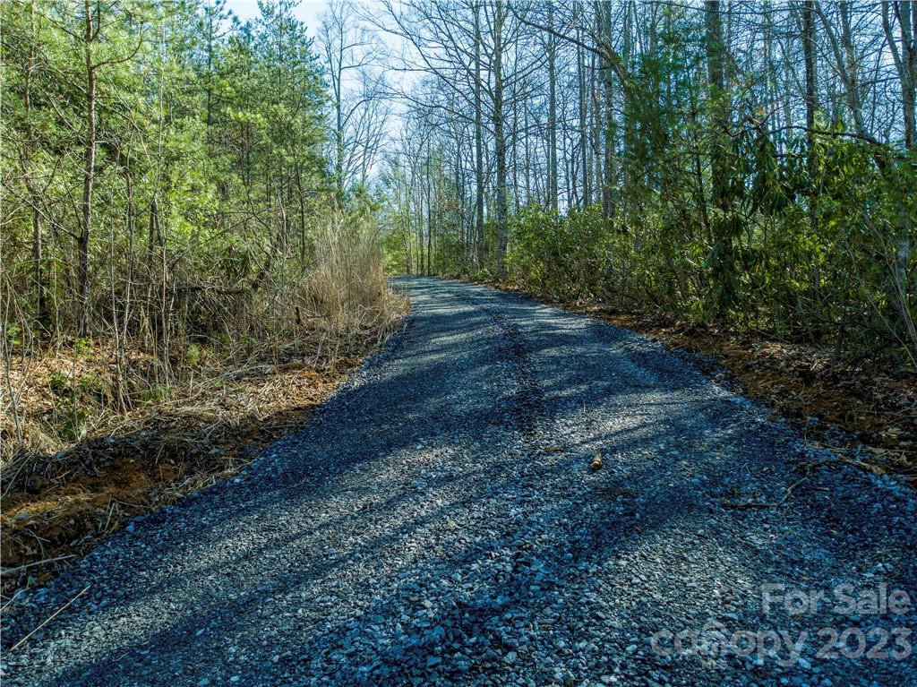 82 Autumn Lane Black Mountain NC 28711