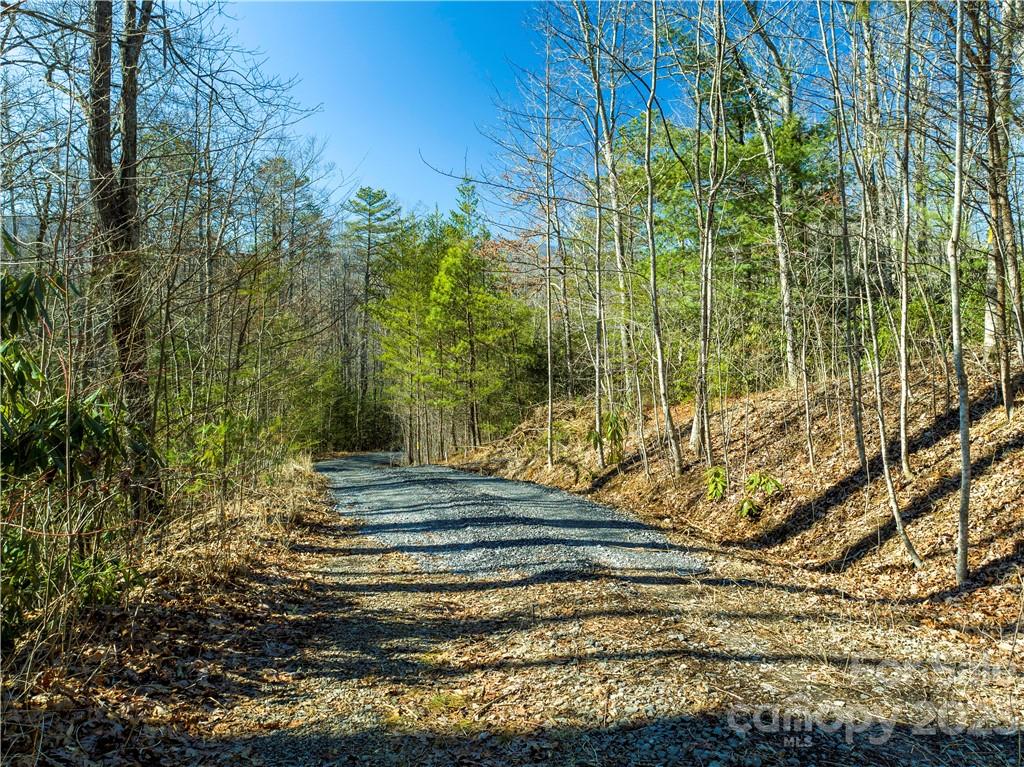 82 Autumn Lane Black Mountain NC 28711