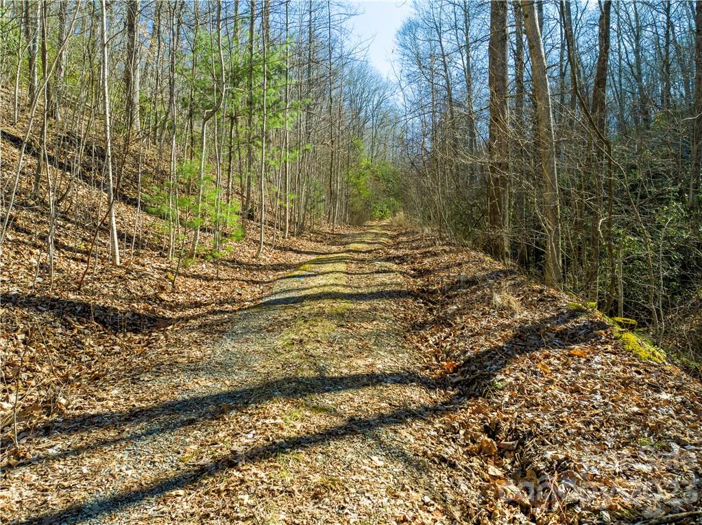 82 Autumn Lane Black Mountain NC 28711