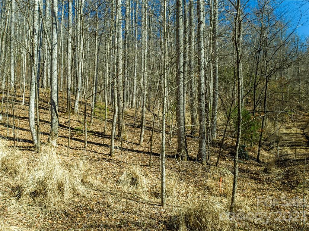 82 Autumn Lane Black Mountain NC 28711