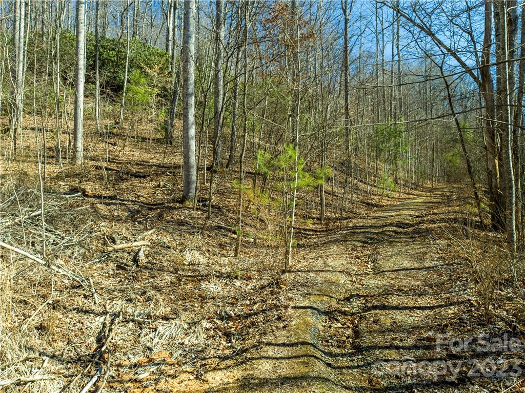 82 Autumn Lane Black Mountain NC 28711