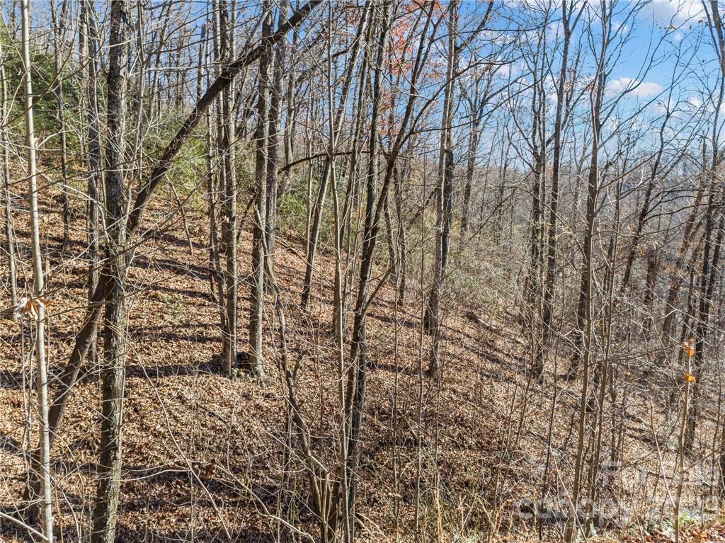 82 Autumn Lane Black Mountain NC 28711