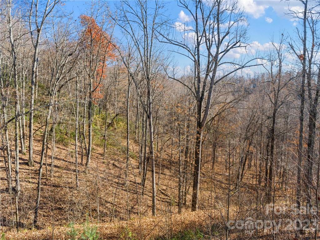 82 Autumn Lane Black Mountain NC 28711