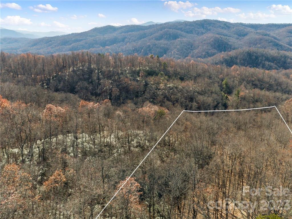 82 Autumn Lane Black Mountain NC 28711