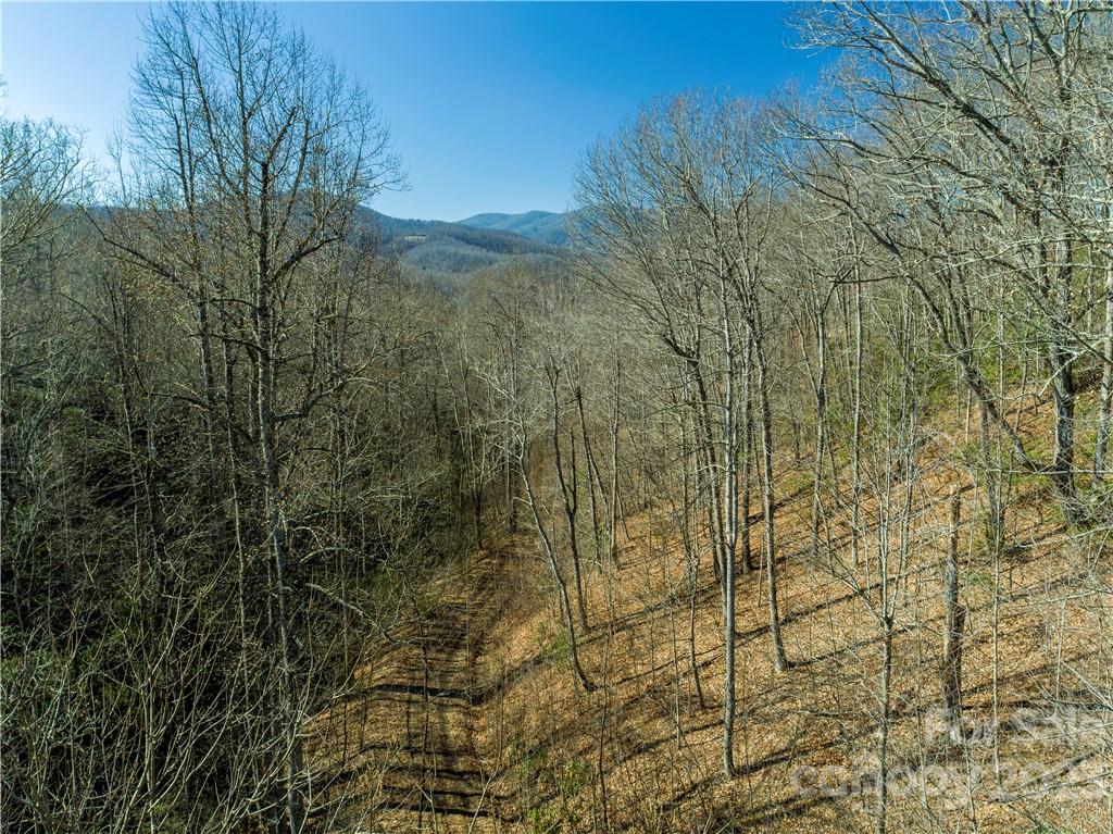 82 Autumn Lane Black Mountain NC 28711