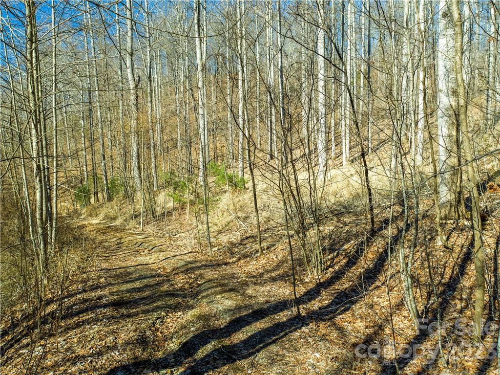 82 Autumn Lane Black Mountain NC 28711