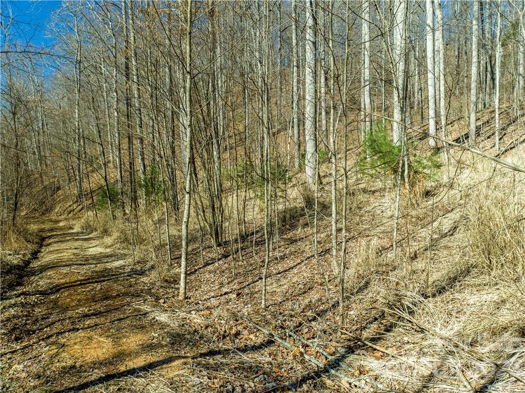 82 Autumn Lane Black Mountain NC 28711