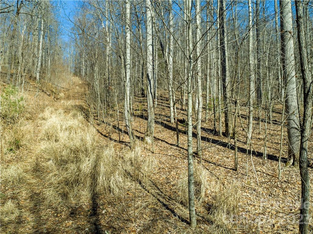 82 Autumn Lane Black Mountain NC 28711