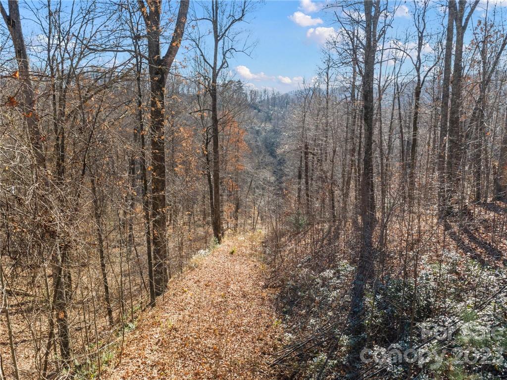 82 Autumn Lane Black Mountain NC 28711