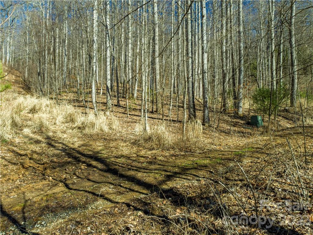 82 Autumn Lane Black Mountain NC 28711