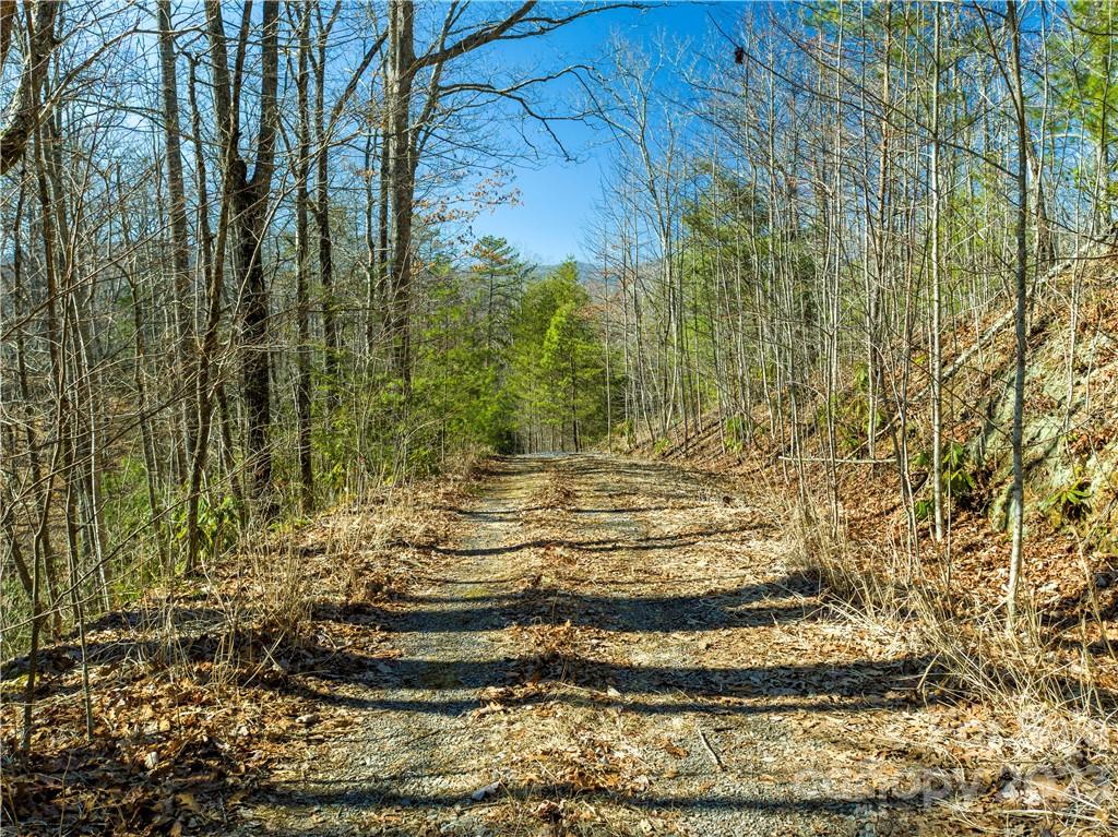 82 Autumn Lane Black Mountain NC 28711