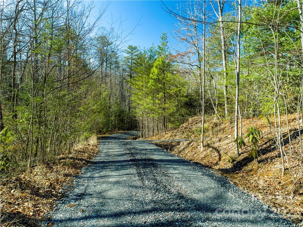 82 Autumn Lane Black Mountain NC 28711
