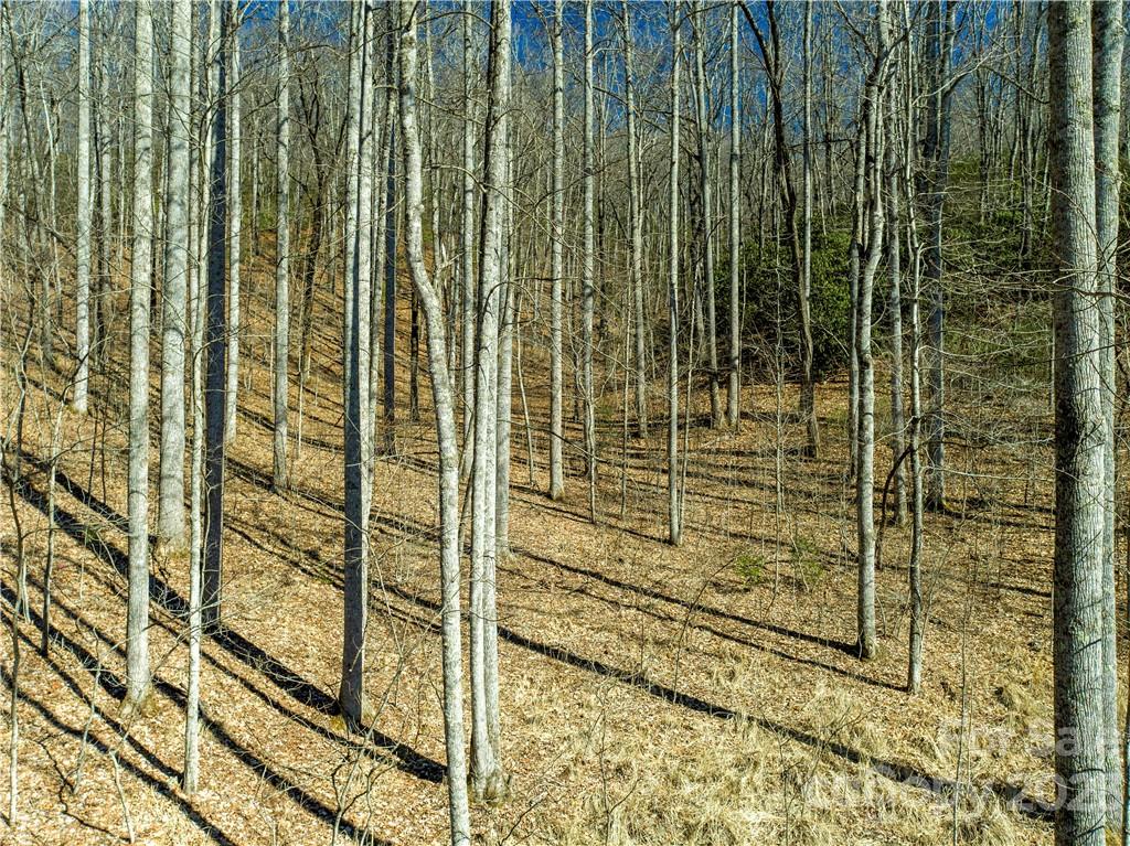 82 Autumn Lane Black Mountain NC 28711