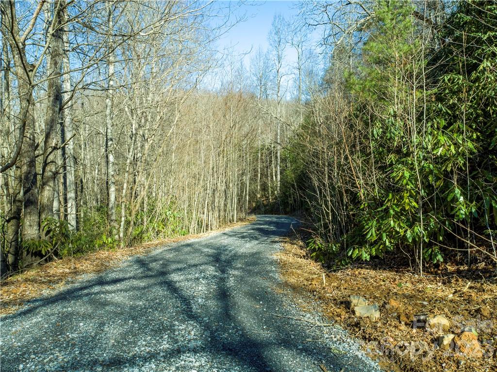 82 Autumn Lane Black Mountain NC 28711