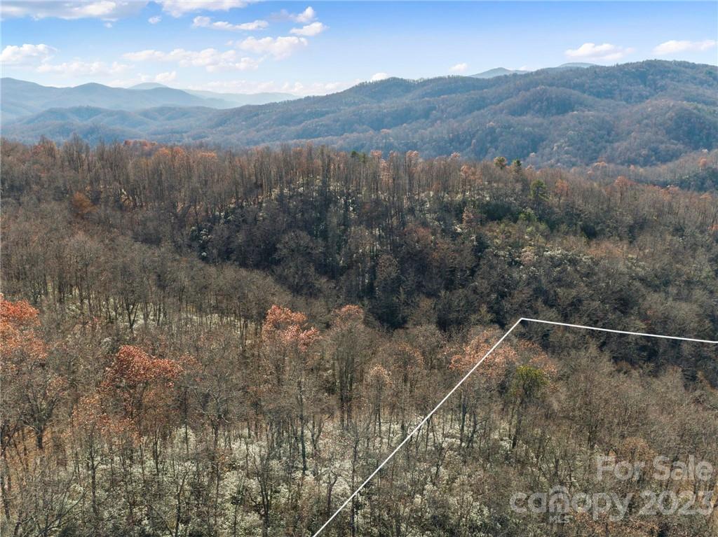 82 Autumn Lane Black Mountain NC 28711
