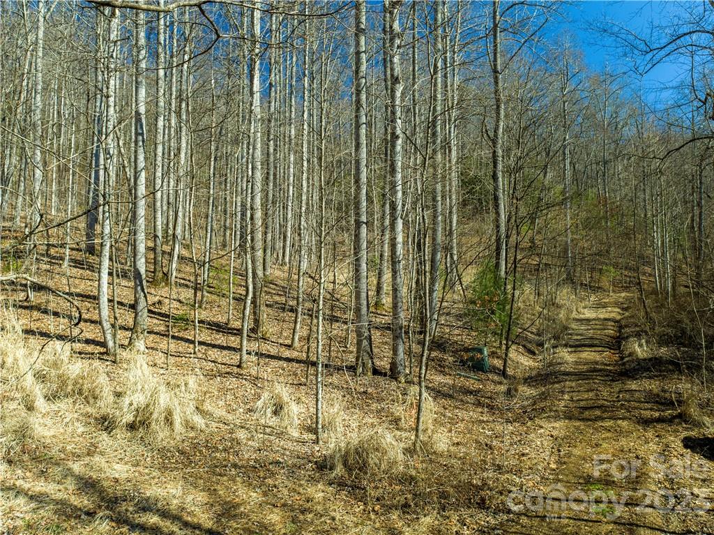 82 Autumn Lane Black Mountain NC 28711