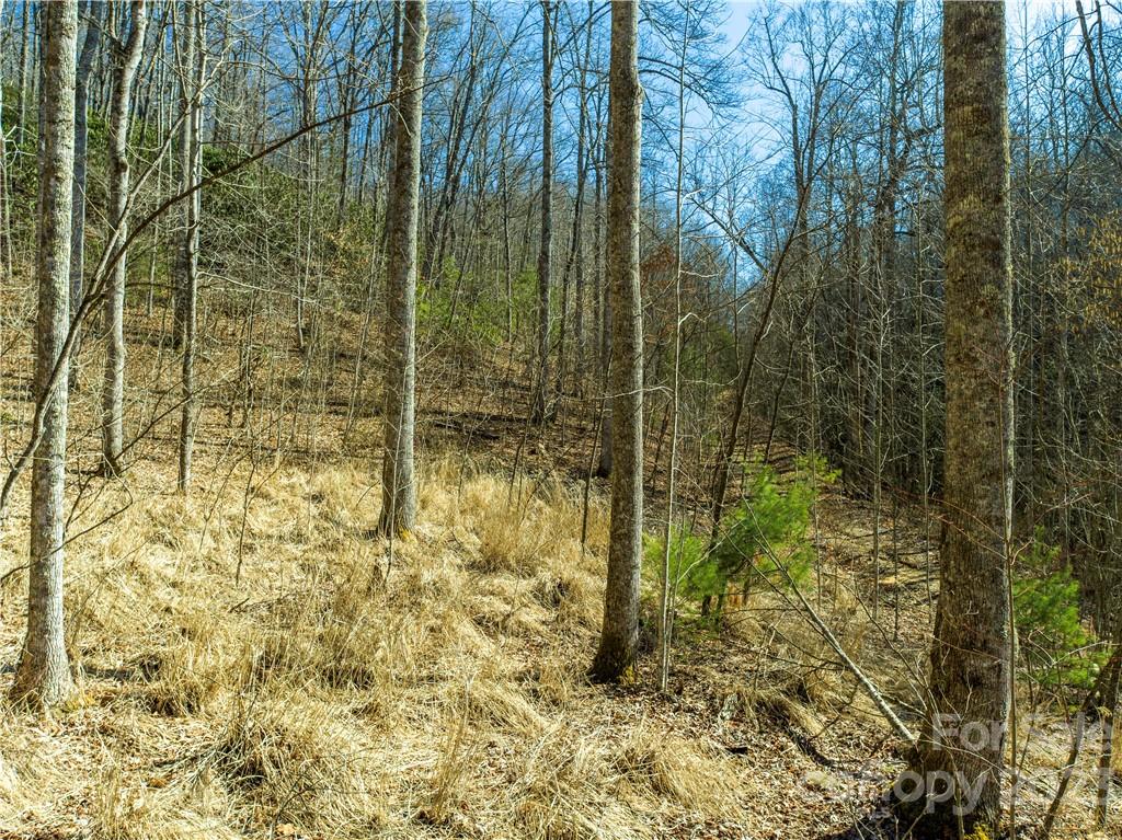 82 Autumn Lane Black Mountain NC 28711