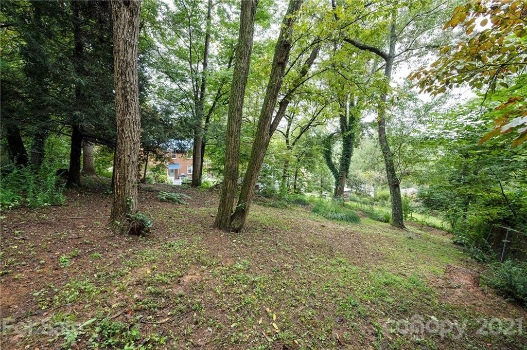 18 Robinwood Avenue Asheville NC 28806