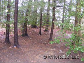 43 Wilkie Way Fletcher NC 28732