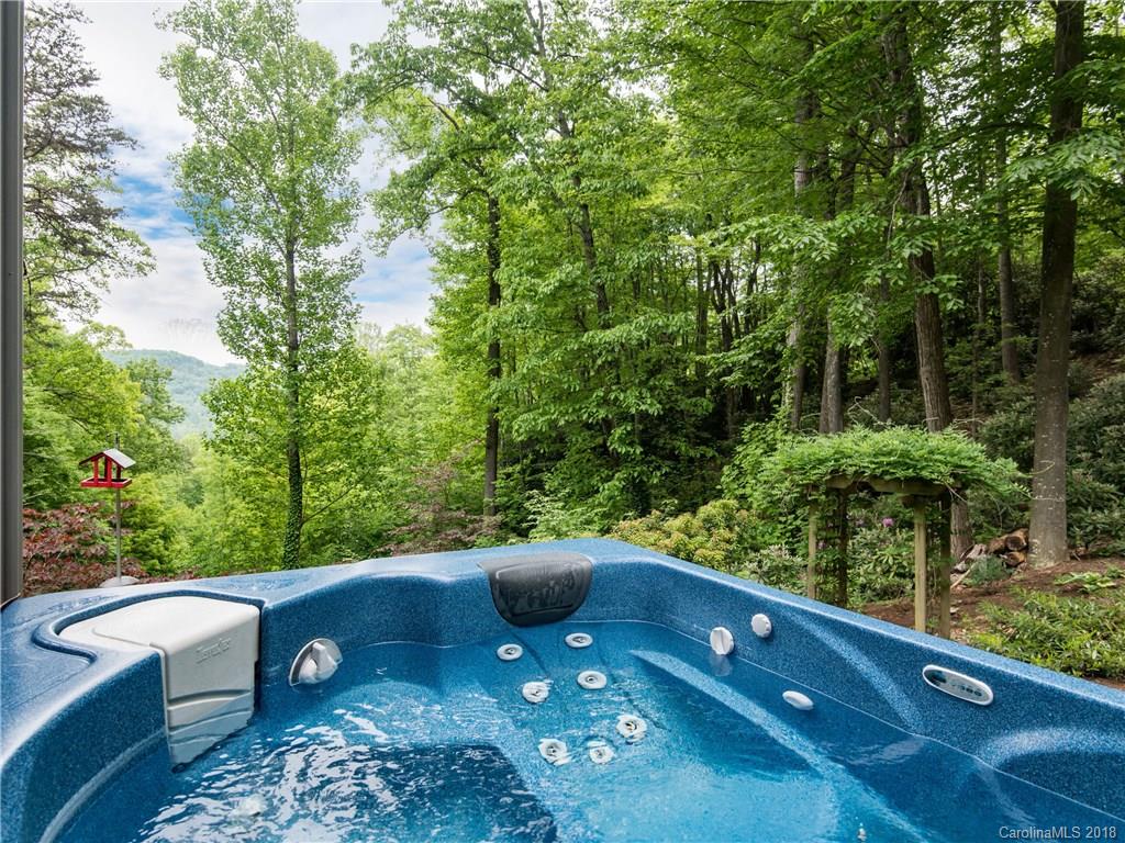 10 Orrin Lane Candler NC 28715