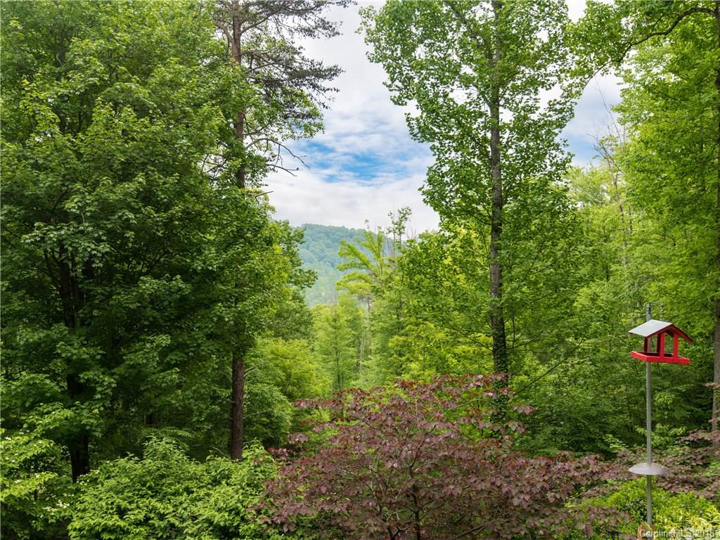 10 Orrin Lane Candler NC 28715