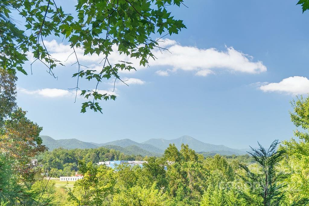 75 Captains Drive Candler NC 28715