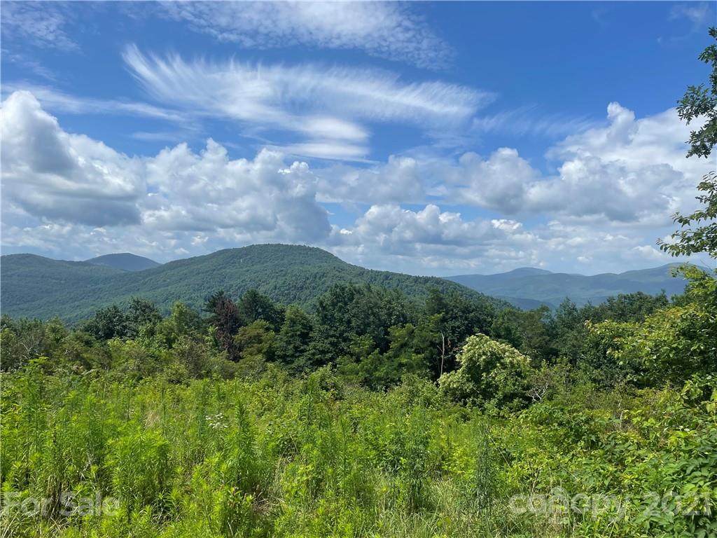 102 High Cliffs Trail Black Mountain NC 28711