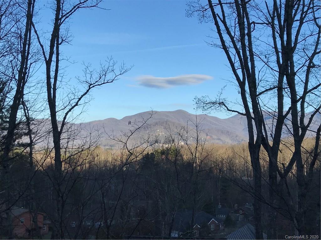 8 Tree Top Place Black Mountain NC 28711