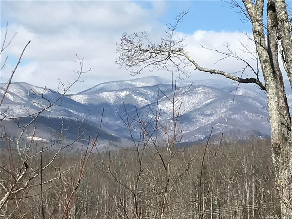 8 Tree Top Place Black Mountain NC 28711