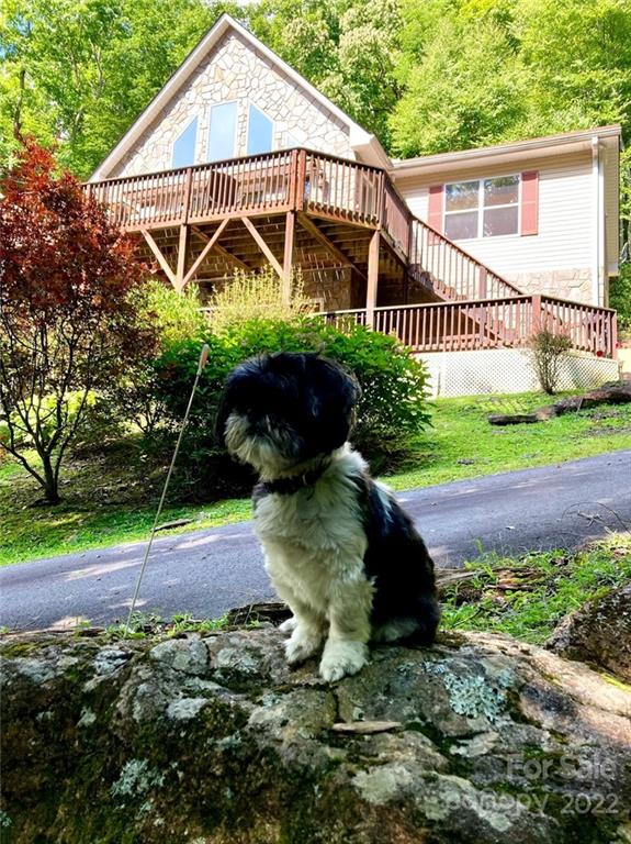 160 Flying Hawk Trail Waynesville NC 28786