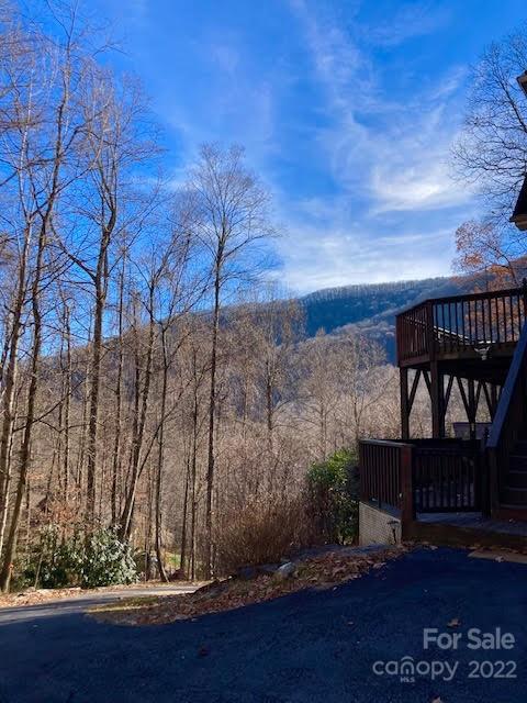 160 Flying Hawk Trail Waynesville NC 28786