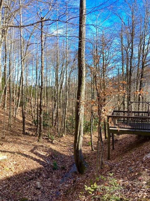 160 Flying Hawk Trail Waynesville NC 28786