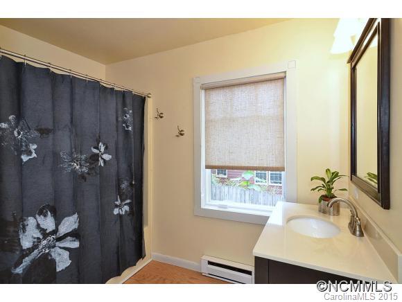 9 Baird Lane Asheville NC 28804
