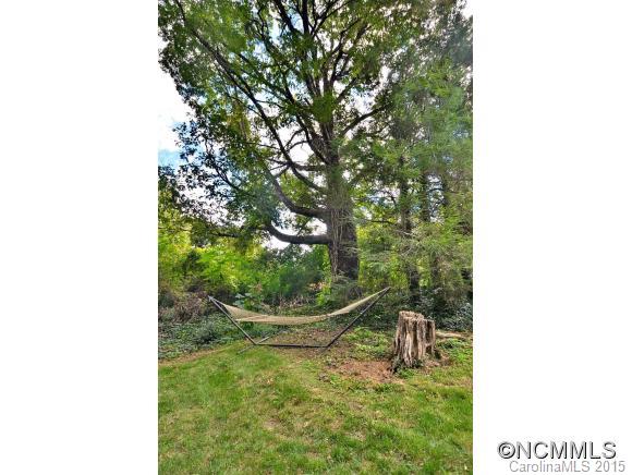 9 Baird Lane Asheville NC 28804