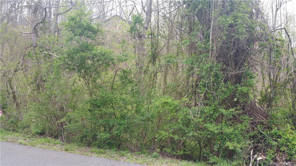 141 Thurland Avenue Asheville NC 28803