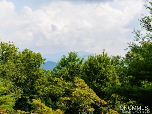 66 Chamblee Ridge Asheville NC 28805