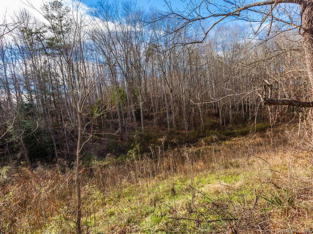 16 Candler School Road Candler NC 28715