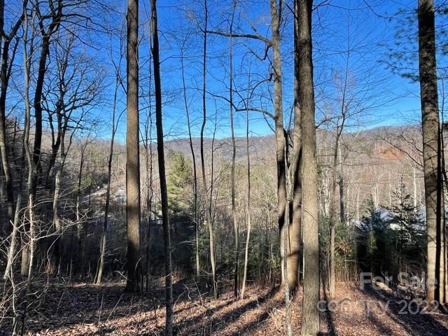64 Longspur Lane Asheville NC 28804