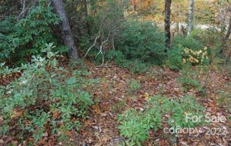 Lot 361 Hickory Nut Lane Lake Lure NC 28746