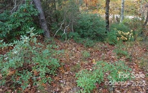 Lot 361 Hickory Nut Lane Lake Lure NC 28746
